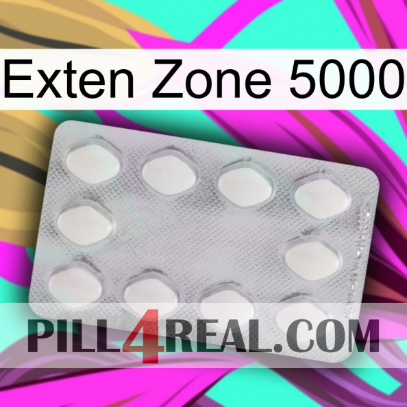 Exten Zone 5000 16.jpg